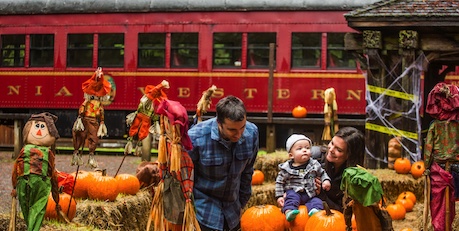 Halloween-Happenings in Kalifornien  Visit California